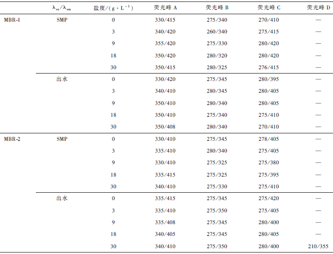 高 盐废水MBR水处理工艺